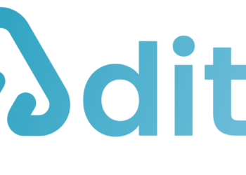 Te contamos la historia de Adiyt, la insurtech malagüeña