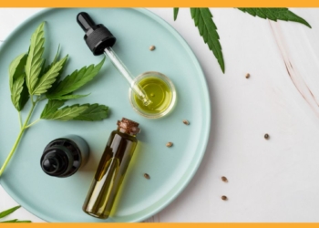 ¿Qué es el CBD? Origen, presentaciones y cómo usarlo de manera segura