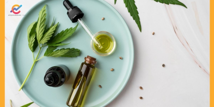 ¿Qué es el CBD? Origen, presentaciones y cómo usarlo de manera segura