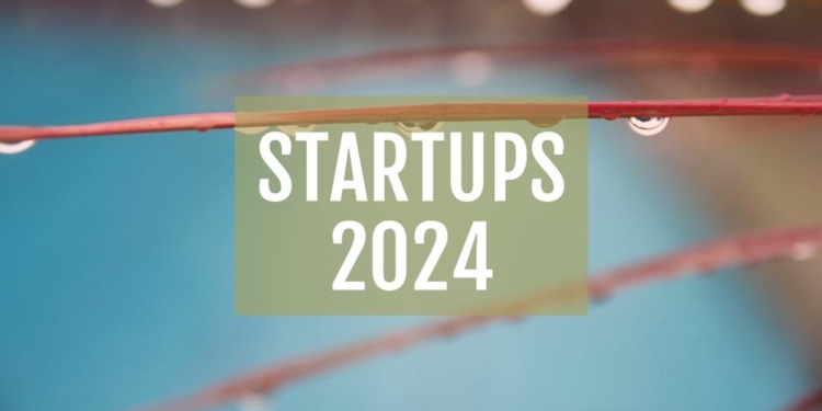 Crear una startup es muy diferente en 2024