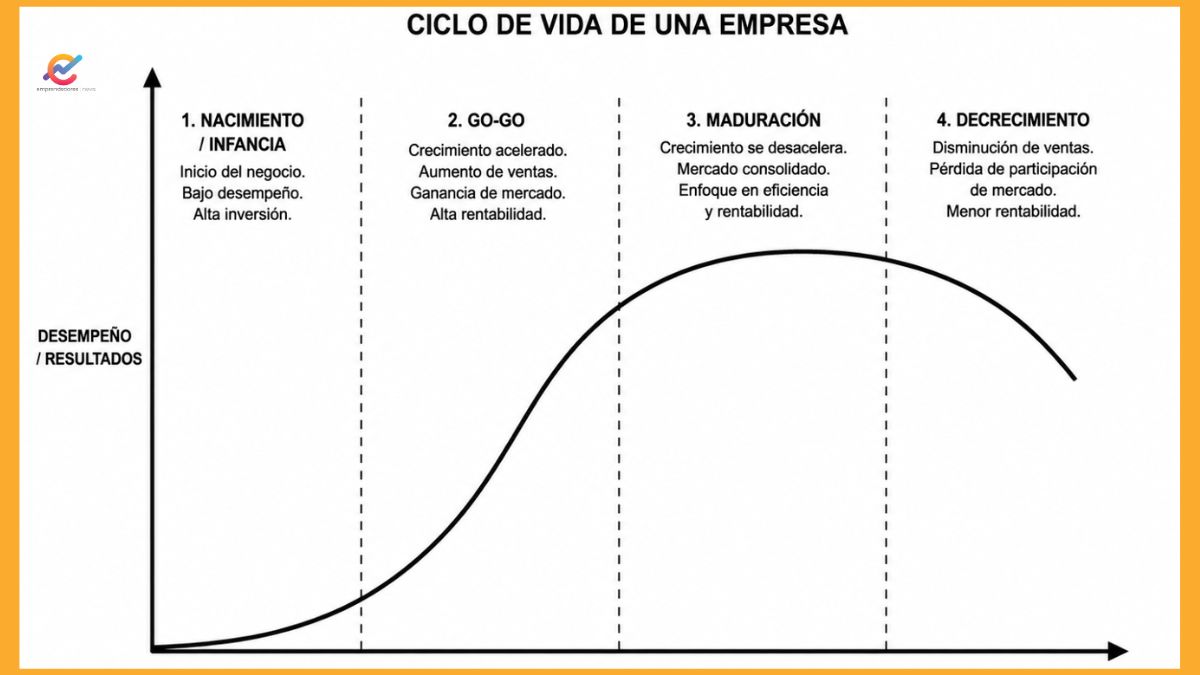 Ciclo de vida de una empresa